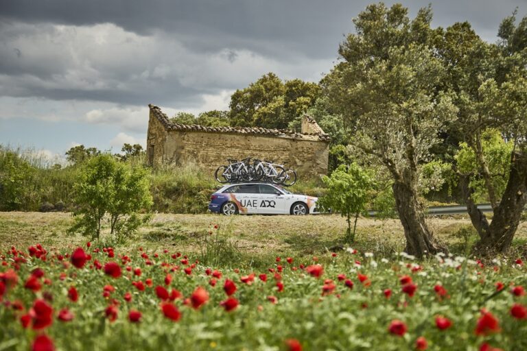 facepeeters_MG_3530